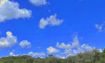 Imagem: Chácara 5.81 alqueires na GO 164 Goias