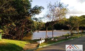 Imagem 3: Lindo lote com 600m2