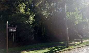 Imagem 3: Terreno Residencial à venda, Laje de Pedra, Canela - TE0071