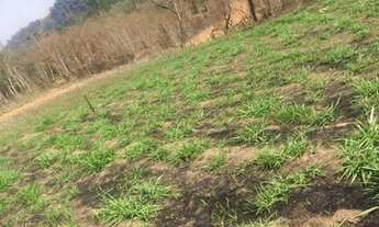 Imagem 6: Vendo terreno para chácaras na Zona Norte de SP