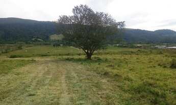 Imagem 3: 1.000 m² à Partir de R$ 49.999,00 á vista