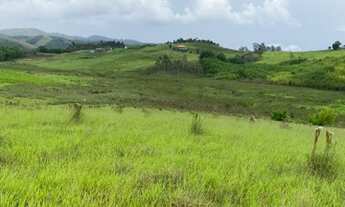 Imagem: Lote/Terreno para venda possui 5000 metros