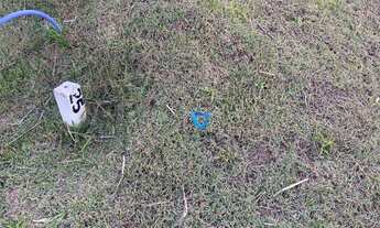 Imagem 2: Terreno à venda, 150 m² por R$ 145.000,00 - Chácara Jaguari (Fazendinha) - Santana de Parn