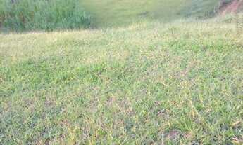 Imagem 4: Sítio - Funil (Rio Preto - MG