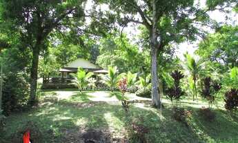 Imagem 4: Fabio Paes Imóveis - Sítio a venda com 5.010 m² com córrego e bem localizado