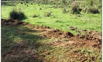 Imagem: Terreno para você de campinas