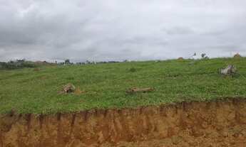 Imagem 4: Terrenos demarcados!!