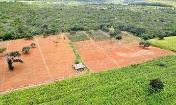 Imagem: Fazendinhas 20.000m2 com Acesso Todo Asfaltado