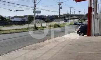 Imagem 5: Galpão - Jardim das Bandeiras - Campinas