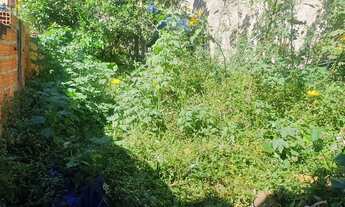 Imagem 4: Casas em Santo recreio b,do campo