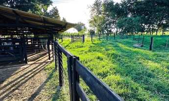 Imagem 5: Linda chacara Chácara com venda por R$1.200.000