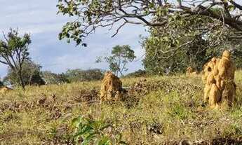 Imagem 6: Fazendinhas em lançamento com entrada parcelada, 5x= de R$8.250,00 mais 185 vezes