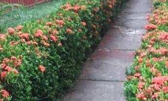 Imagem 3: APARTAMENTO NO CONDOMÍNIO 8 DE ABRIL, REGIÃO CENTRAL DE CUIABÁ. ESTÁ COM PINTURA NOVA