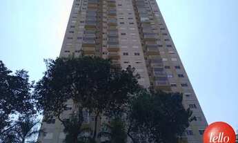 Imagem: São Paulo - Apartamento Padrão - Campo