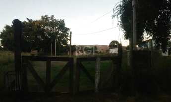 Imagem 4: Terreno em Restinga