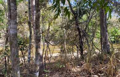 Imagem 7: Chácaras de dois hectares em Goiás velho rio vermelho!