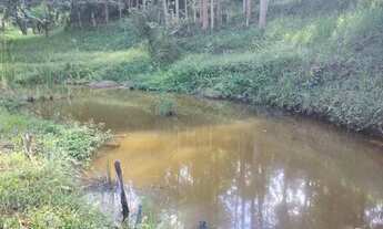 Imagem 7: Chácara com área de 8.000 m2 Cambui-MG