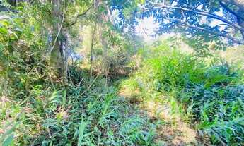 Imagem 4: Chacara em itauçu