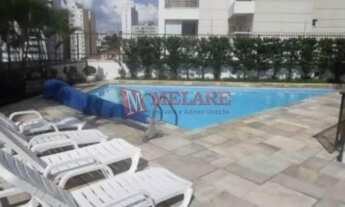 Imagem 7: SãO PAULO - Padrão - Sumaré