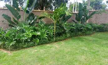 Imagem 3: Terreno de 650 m², murado, Jardim Itaú