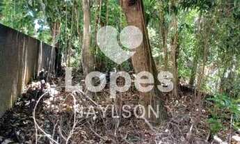 Imagem 6: Terreno -Cachambi