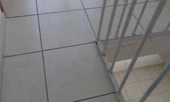 Imagem: Aconchegante imóvel cobertura 3 quartos