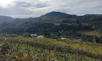 Imagem: Chácara com 2,5 hectares no Vale dos Vinhedos