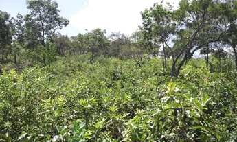 Imagem 3: Terreno rural 36.000m², rios nos fundos, muito verde, Serra do Cipó (Temos varias opções)