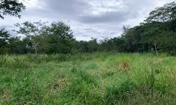 Imagem 2: Sitio 80.000m², com casa, rio nos fundos, poço artesiano, barracão de caseiro, Baldim