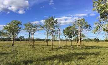 Imagem: Fazenda na Chapada Gaúcha em Minas Gerais