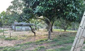 Imagem 6: Cromínia - fazenda com nascente codigo: 111905