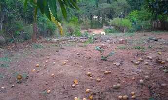 Imagem 5: Vendo chácara em Campus Elísios