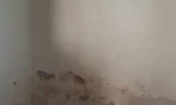 Imagem 5: Casa no bairro São Miguel, em Crato - CE