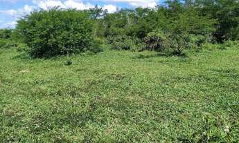 Imagem 5: Vendo terreno (GRANDE OPORTUNIDADE