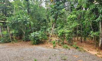 Imagem 6: CASA C/ MUITA AREA VERDE - ARVORES NATIVAS