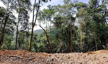 Imagem 4: Terreno Exclusivo de 8.000 m² no Recreio Campestre Escritura Pronta para Construir