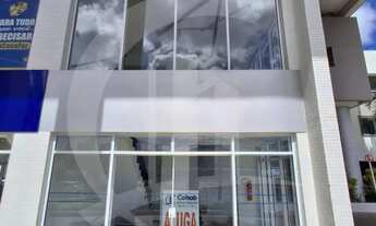 Imagem 2: Loja Comercial com Mezanino no Horizonte Jardins - Excelente Localização