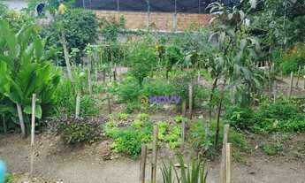 Imagem 5: Terreno Amplo em Condomínio Próximo ao Shopping Itaipumulticenter