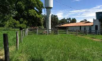 Imagem 6: VENDO FAZENDA EM PALMEIRAS DE GOIAS