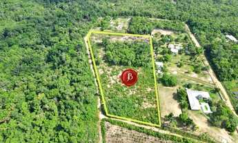 Imagem 2: Terreno com 6.000m² na Avenida Cláudio Mesquita, Tarumã-Açu