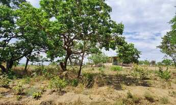 Imagem 6: OPORTUNIDADE: paraíso próximo de Brasilia