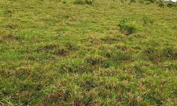 Imagem 7: TERRENO À VENDA DE 492ha - AMAJARI