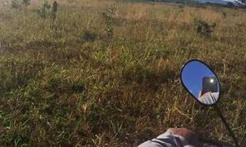 Imagem 6: Fazenda arrendamento pra GADO, 239 alqueires em Doverlândia Go. R$:350 mil por ano