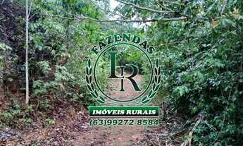 Imagem 4: Fazenda/Chácara 13 Alqueires