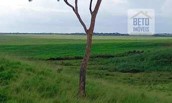 Imagem 7: Fazenda/Sítio/Chácara para venda com 112210000 metros quadrados em Jardim Aureny I - Palma