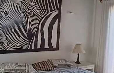 Imagem 12: Ferradura, Armação dos Búzios