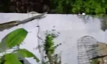 Imagem 5: VENDE-SE CASA VILA MARINHO - EXCELENTE OPORTUNIDADE Vila Marinho - Compensa lll