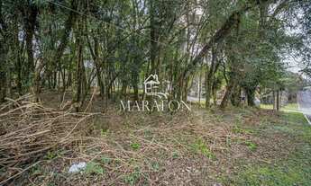 Imagem 4: TERRENO EM EXCELENTE LOCALIZAÇÃO!