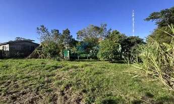 Imagem 4: Velleda oferece espetacular casa de 3 dormitórios com suíte e terreno arborizado, 500m do