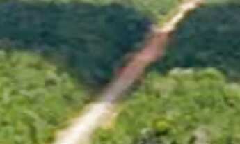 Imagem: Sítio 280 x 1.000 na BR 319 km 48 130.000,00